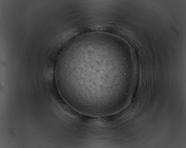 X0000090980652200708021500