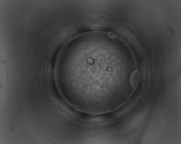 X0000090980653200708021500