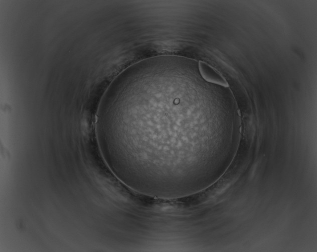 X0000090980655200708021500