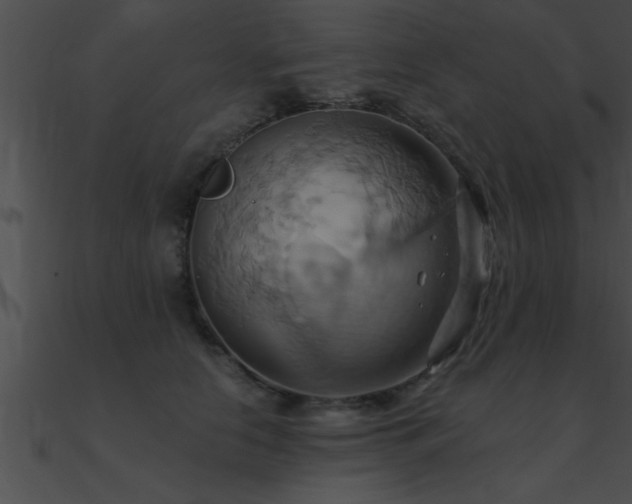 X0000090980658200708021500