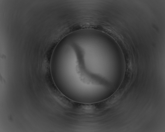 X0000090980659200708021500
