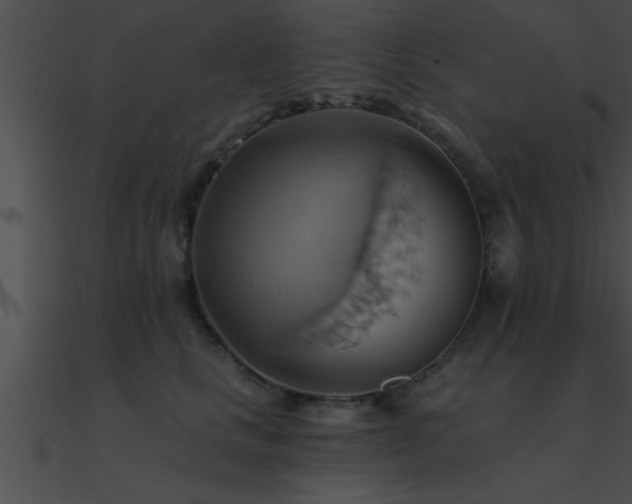 X0000090980661200708021500