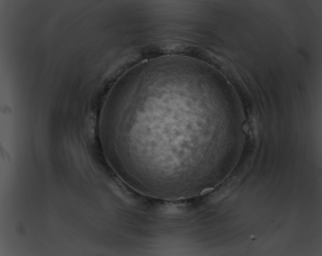 X0000090980664200708021500