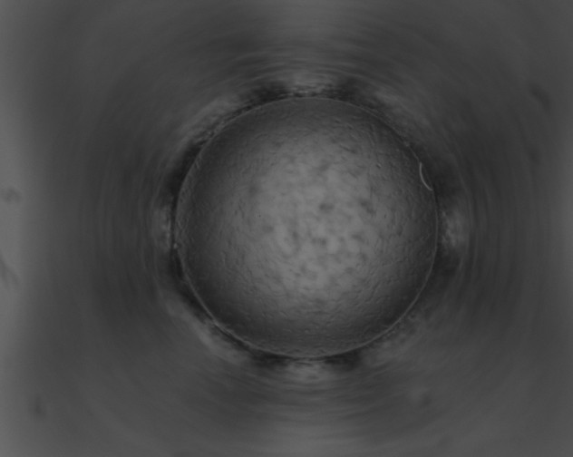 X0000090980666200708021500