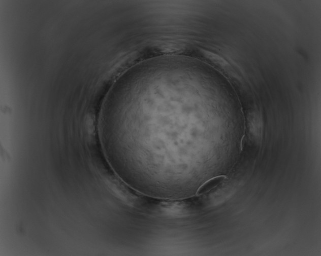 X0000090980667200708021500