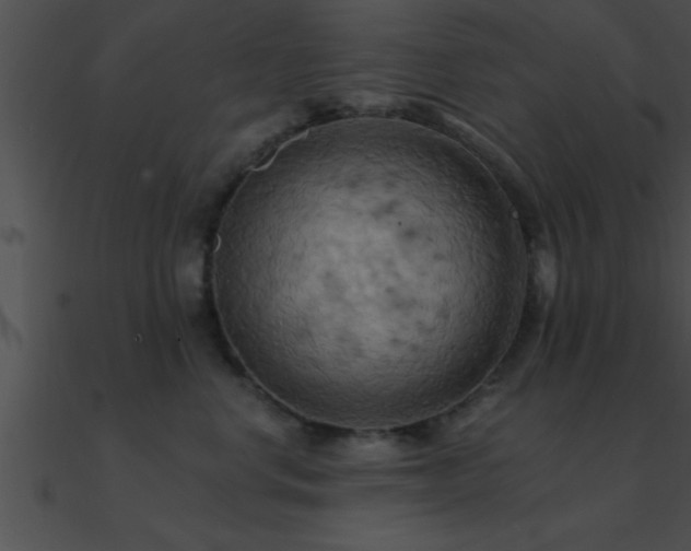 X0000090980668200708021500