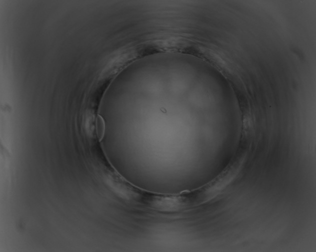 X0000090980671200708021500