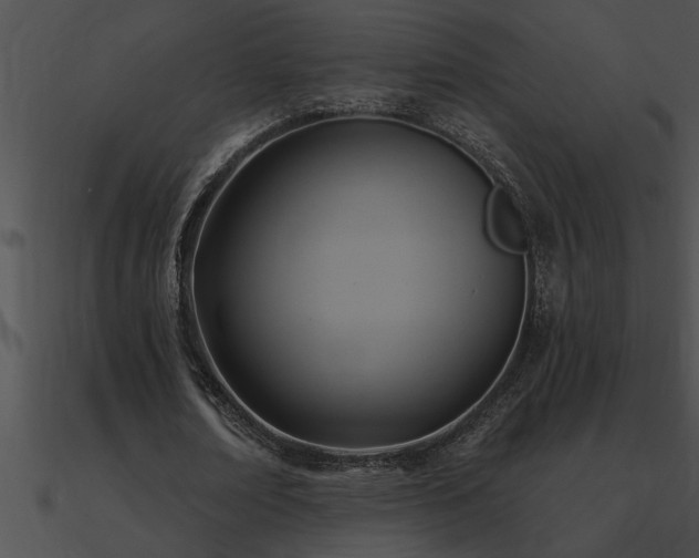 X0000090980674200708021459