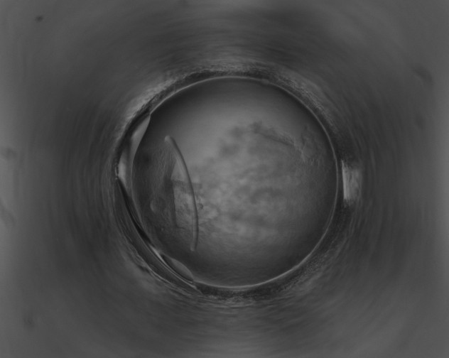X0000090980675200708021459