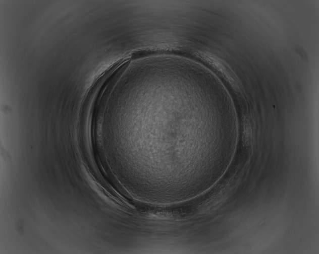 X0000090980677200708021459