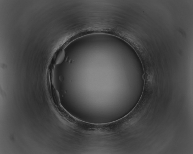 X0000090980678200708021459