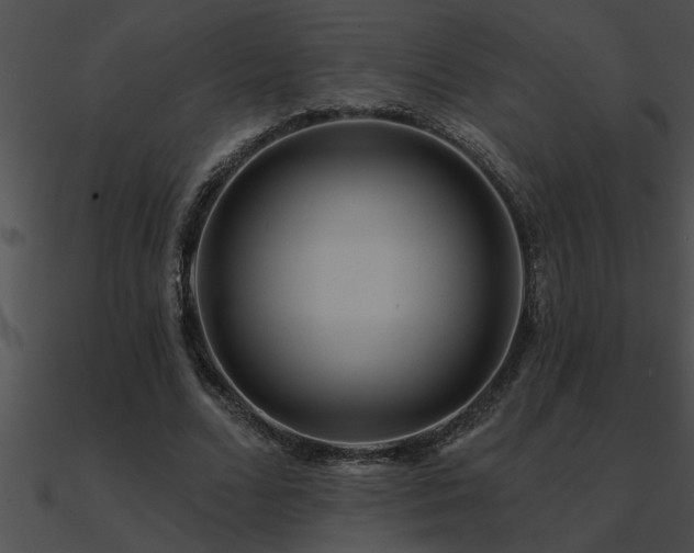 X0000090980680200708021459