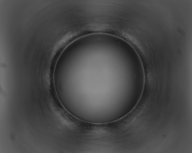 X0000090980682200708021459