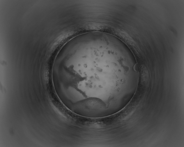 X0000090980683200708021459