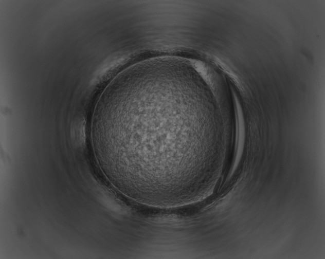 X0000090980685200708021459
