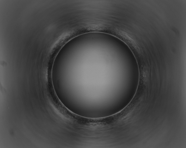 X0000090980686200708021459