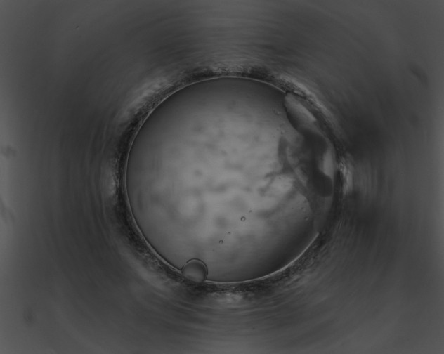 X0000090980687200708021459