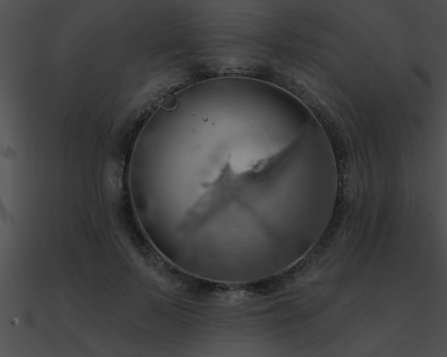 X0000090980695200708021459