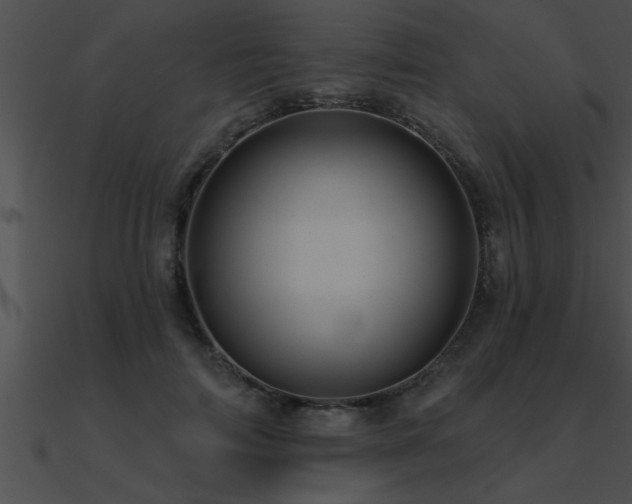X0000090980698200708021459