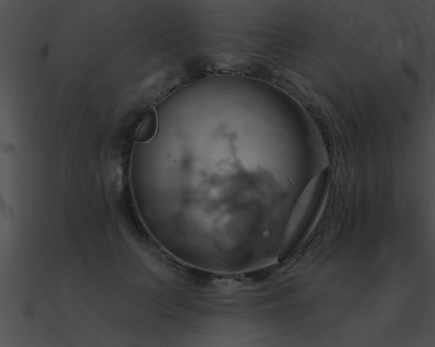 X0000090980703200708021459