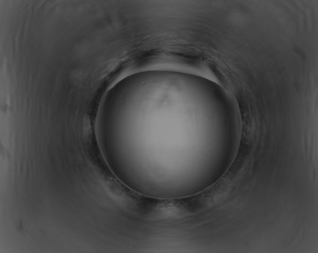 X0000090980704200708021459