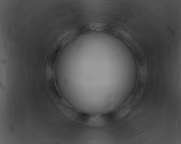 X0000090980705200708021459