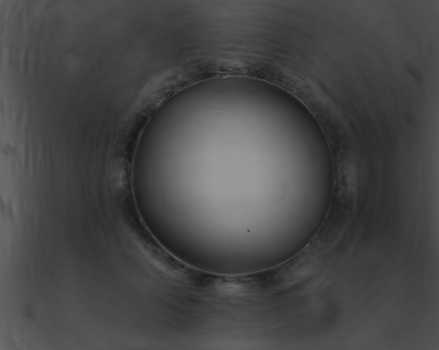 X0000090980706200708021459