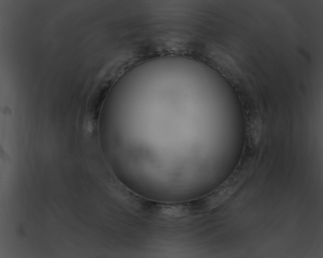 X0000090980709200708021459