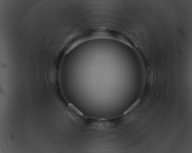 X0000090980712200708021459