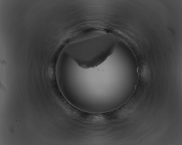 X0000090980715200708021459