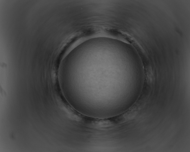 X0000090980716200708021459