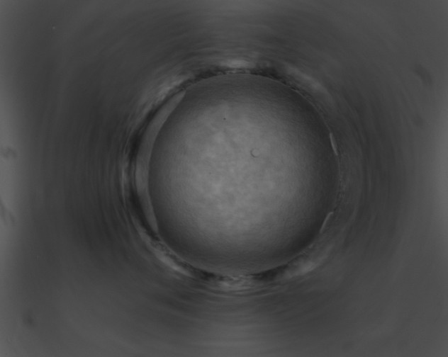 X0000090980720200708021459