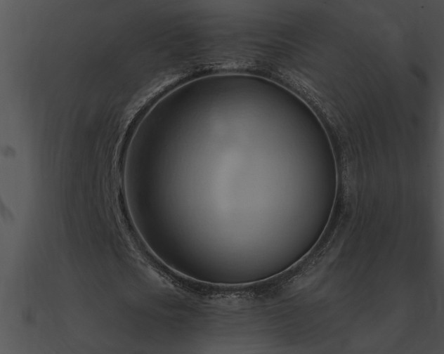 X0000090980721200708021458