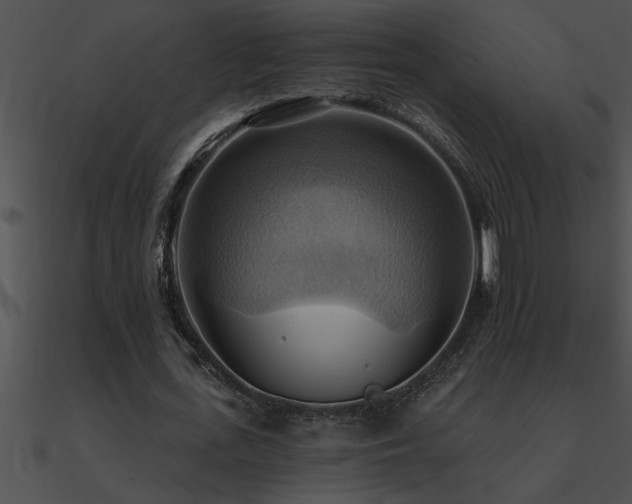 X0000090980723200708021458