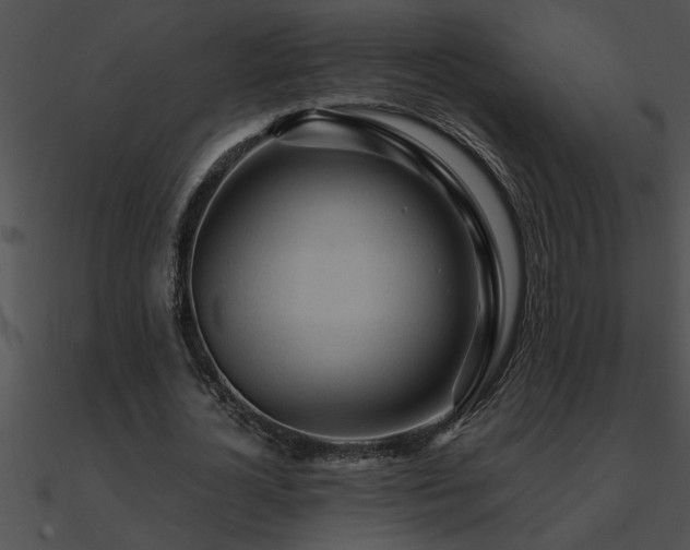 X0000090980724200708021458