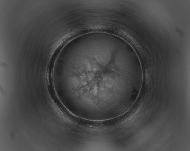 X0000090980725200708021458