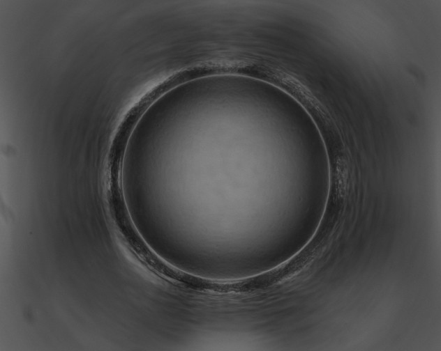 X0000090980726200708021458
