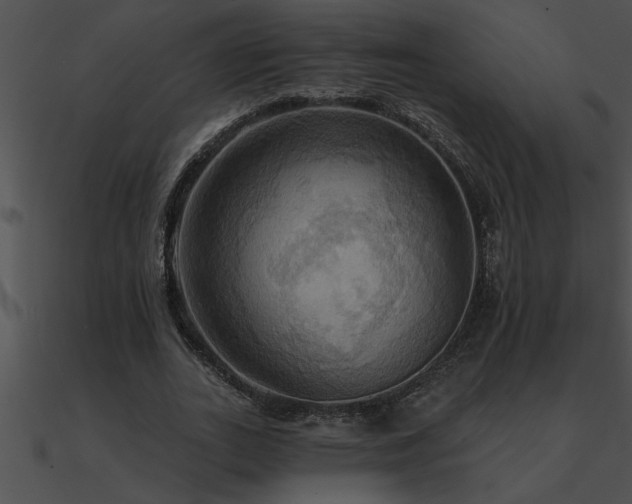 X0000090980727200708021458