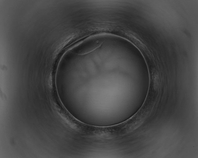 X0000090980729200708021458
