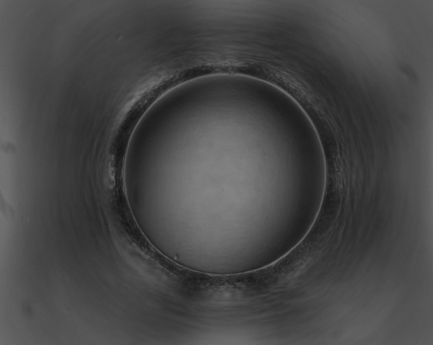 X0000090980731200708021458