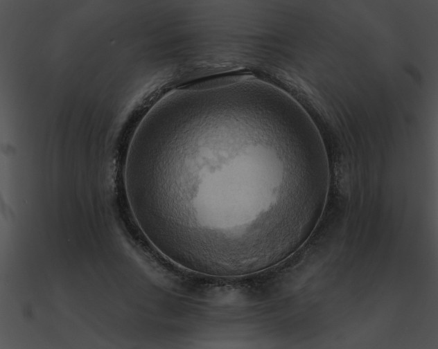 X0000090980735200708021458