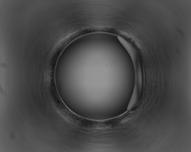 X0000090980736200708021458