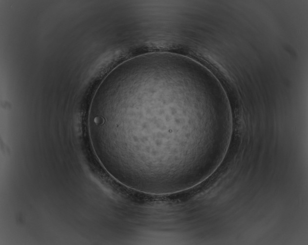X0000090980738200708021458
