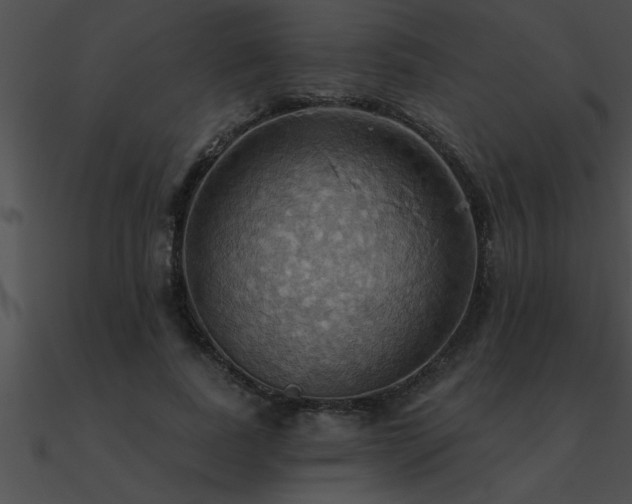 X0000090980739200708021458
