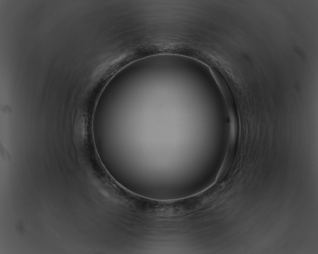 X0000090980740200708021458