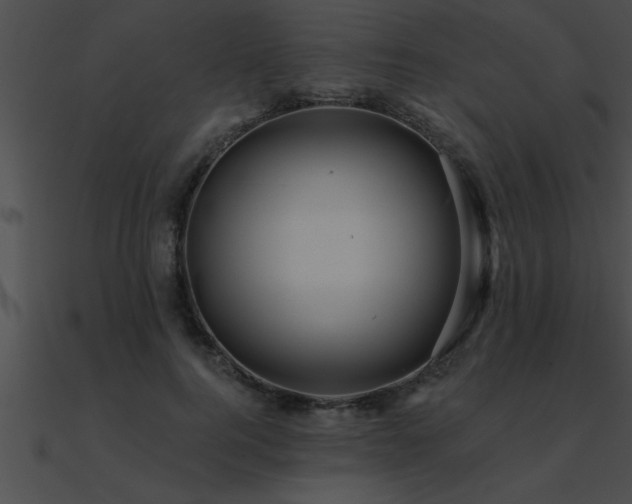 X0000090980744200708021458