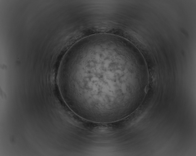 X0000090980745200708021458