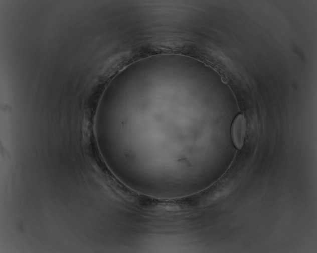 X0000090980749200708021458