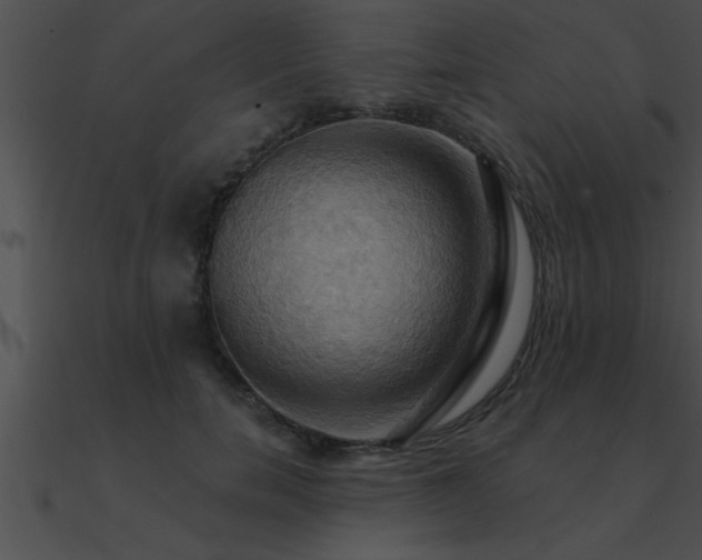 X0000090980750200708021458
