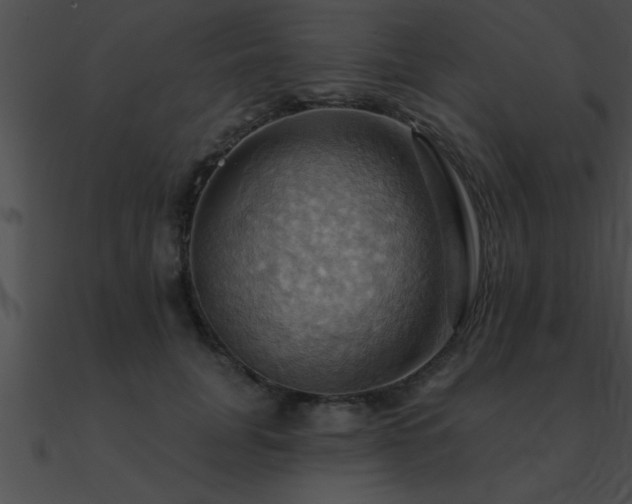 X0000090980751200708021458